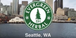 Evergreen-Herbal-on-the-CBC