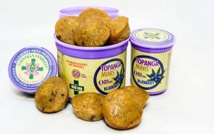 topanga_harvest_Blueberry-Muffins