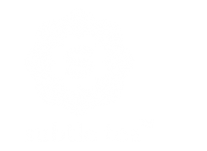 ST-Logo-WHITE